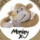 PG Tips Monkey!