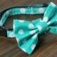 Cat Collar with Bow Tie - Teal Polka Dots