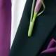 Anatomy Of A Flower: Calla Lily