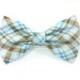 Blue and brown tartan plaid - cat bow tie dog bow tie
