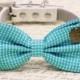 Blue Dog Bow Tie, birthday gift, Live Love Laugh, Pet accessory, Pet bow, Dog lovers, Polka dots bow, some thing blue, pet wedding accessory