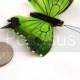 Green Tiger Swallow Tail Butterfly  (2 Pieces)(2 inches)  for bridal accessories, party favors, girls hair clips and scrapbooking