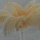 100 beige ostrich feathers for Wedding Table centerpieces Party Decorations,wedding table decoration,eiffel tower centerpiece