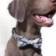 Fillmore Plaid, UsagiTeam designer dog collars with bowties, Dog Bow tie Collar