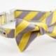Yellow Grey Stripe Bowtie Dog Collar with Nickel Buckle