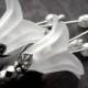 Wedding White Flower Earrings - Vintage Style Wedding Jewelry, White Flower Blossom, Antiqued Silver, Bridal Jewelry, Garden Wedding