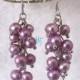 Pearl Cluster Earrings - 4-5mm Purple Freshwater Pearl Cluster Earrings D11S - Free shipping
