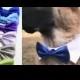 Dog Wedding Pointed Shirt Collar with Satin Bow Tie Cat Wedding Collar Bowtie White Violet Blue Platinum Bow Tie Formal Adjustable