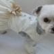 Wedding Dog  Dress  Harness for Dog or Cat Outfit