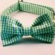 Preppy Blue and Green Gingham Seersucker Dog Bow Tie Collar, Preppy Dog Bowtie Collar, Blue and Green Check Dog Bow Tie Collar, Plaid Collar