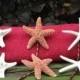 Starfish Bobby Pin Package, starfish bobby pins, mermaid accessories, beach weddings, nautical hair