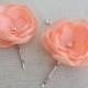 Peach Pale Orange Coral small flowers in handmade Bridal Bridesmaids Hair shoe clip Dress sash Ornament Weddings Flower girls gift Set of 2
