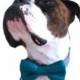 Dog Bow Tie, Teal Dog Bow Tie, Doggie Bow Tie, Turquoise plaid Dog Bow Tie