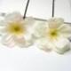 White blossom hair pins set of 2 // bridal hair clips, bridesmaid hair accessory, flower bobby pins, rustic flowers, wedding bobbies