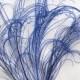 ROYAL BLUE  peacock feather sprigs curled for hats, fascinators, headdresses, and floral arrangements. (5 -8 Inches Long)(4 SPRIGS)