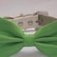 Green Dog Bow Tie - with high quality leather collar, Spring wedding dog accessory, emerald green