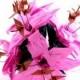 Bridal Bouquet, Pink Origami Crane Lily Bouquet, Alternative Wedding Paper Flowers