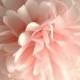 Light Pink Tissue Pom Pom .. Wedding Decoration / Bridal Shower / Birthday / Baptism / Party Decoration