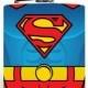 Superman Hip Flask Hip Flask 6oz Flask Mens Flask Liquor Superhero DC Favor Groomsmen Clark Kent