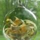 Invitation Announcement Inside Hand Blown Glass Ornament by Jenn Goodale