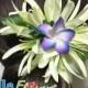 Hawaiian Plumeria Flowers Hair Clip For Hula Dancer, Wedding, Beach Party Hair Accessories, Gift Idea Hand Made Foam Flowers