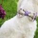 Lavender Dog Bow Tie, Purple Wedding, Pet wedding accessory, Wedding accessory, Victorian wedding, Love Purple
