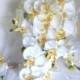 White Orchid Cascade Bouquet & Boutonniere phalaenopsis destination wedding flowers