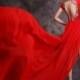 Asian inspired embroidered florl mandarin collar cap sleeve red lace chiffon trailing prom dress