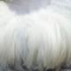 ON SALE 10% off natural white rooster feathers , bulk, lot, wholesale, feather supply, hair extensions, long feather