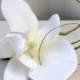 Wedding Boutonniere White orchid Boutonniere Groom Groomsmen Boutonnieres