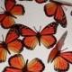15x 3D MONARCH Natural BUTTERFLIES Wall Decor Decal Scrapbooking Die Cuts Craft Butterfly Decoration Orange