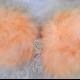 SEXY Poodle Costume Peach Feather Bra SALE 32-34 B/C SALE last one
