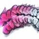Wedding Cake Topper - Edible Butterflies in 12 large Pink Ombre Monarchs - Cupcake Toppers, Butterfly Cake Decorations