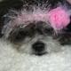 NEW - Floral Headband for Pet - Wedding Bridal - 2 to 20 lb dog or cat