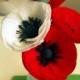 Paper Poppies for Wedding Decorations and Bouquets