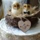 Owls wedding cake topper-Barn owls cake topper-Rustic cake topper-Rustic wedding-OWLS