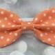 Orange Sherbet Polka Dot Small Pet Dog Cat Bow / Bow Tie