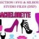 Bachelorette Graphics Collection for Cutting Machines 
