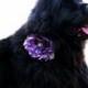 Satin Wedding Dog Collar with Flower Accessory - Eggplant