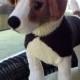 Dog Sweater Hand Knit Tuxedo Small 13 inches long