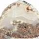 Dendritic Plume Agate Very Rare Marfa Texas Garden Bouquet Agate Polished Slice yellow Mineral Moss Wear it or Display it