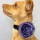 Lavender and Navy Blue Satin Flower for a Dog or Cat