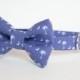 South Carolina Dog Bow Tie Collar in Blue