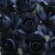 24 Petite Handmade Paper Millinery Roses In Navy Blue