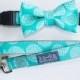 Teal Floral Bow Tie For Dogs With Collar Optional Leash by Dog and Bow