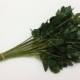 Greenery - 20 Artificial Flower Stems with Dry Look Rose Leaves for DIY Wedding Bouquets, Flower Arrangements