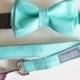 Aqua Dog Collar with Removable Layered Bow Tie by Dog and Bow