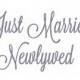 Set of 2 Newlywed and Just Married Embroidery Design Bridesmaids Wedding Party Embroidery Font 4x4 5x7 6x10