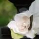 Flower Hair Clip / Mini Comb. Vintage Style Wedding. Ivory Pearls & Champagne Tan Fern Olive Green Brown, Dainty Elegant Bride Bridal Girl