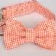Preppy Orange Gingham Seersucker Dog Bow Tie Collar, Preppy Dog Bowtie Collar, Orange Check Dog Bow Tie Collar, Plaid Dog Bow Tie Collar